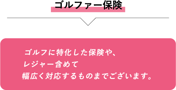 ゴルファー保険 ゴルフに特化した保険や、レジャー含めて幅広く対応するものまでございます。